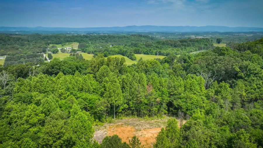 1106 Spider Stines Road, Greeneville, TN 37745 - Image #3