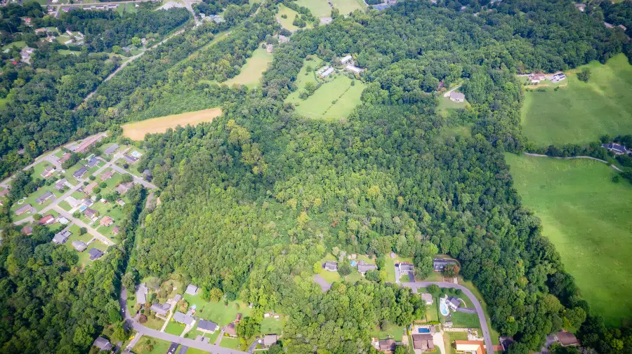 Tbd Old Buffalo Road, Johnson City, TN 37601 - Image #3