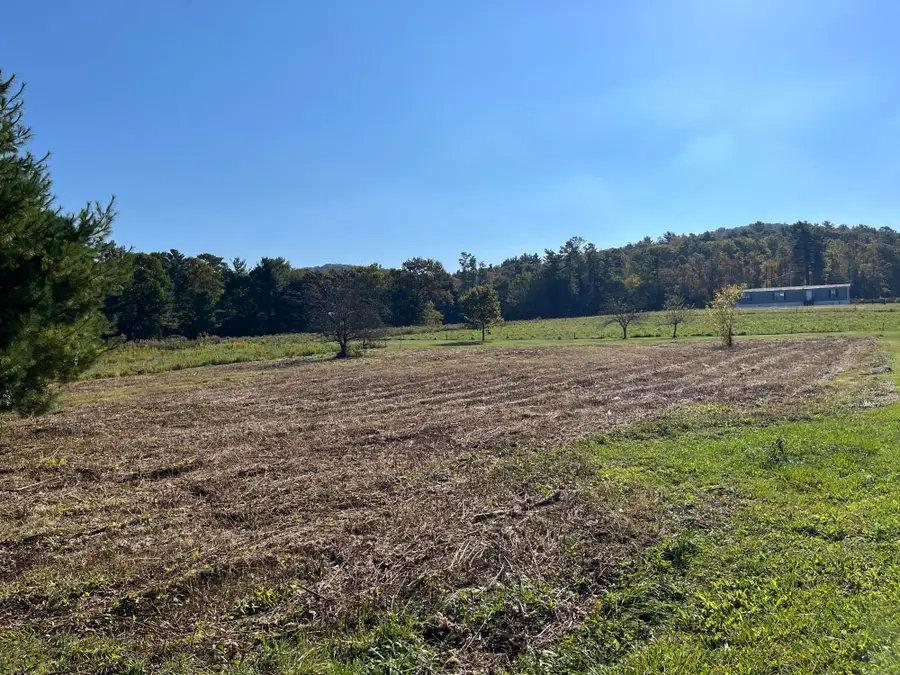 1838 Of Highway 133, Shady Valley, TN 37688 - Image #2