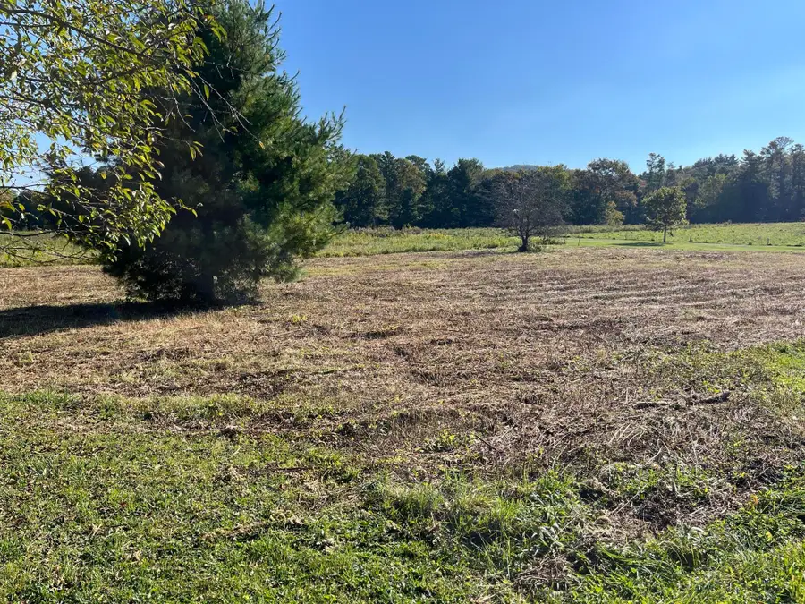 1838 Of Highway 133, Shady Valley, TN 37688 - Image #3