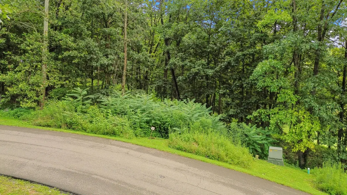 Tbd Washington Way #Lot 203, Bristol, VA 24202 - Image #1