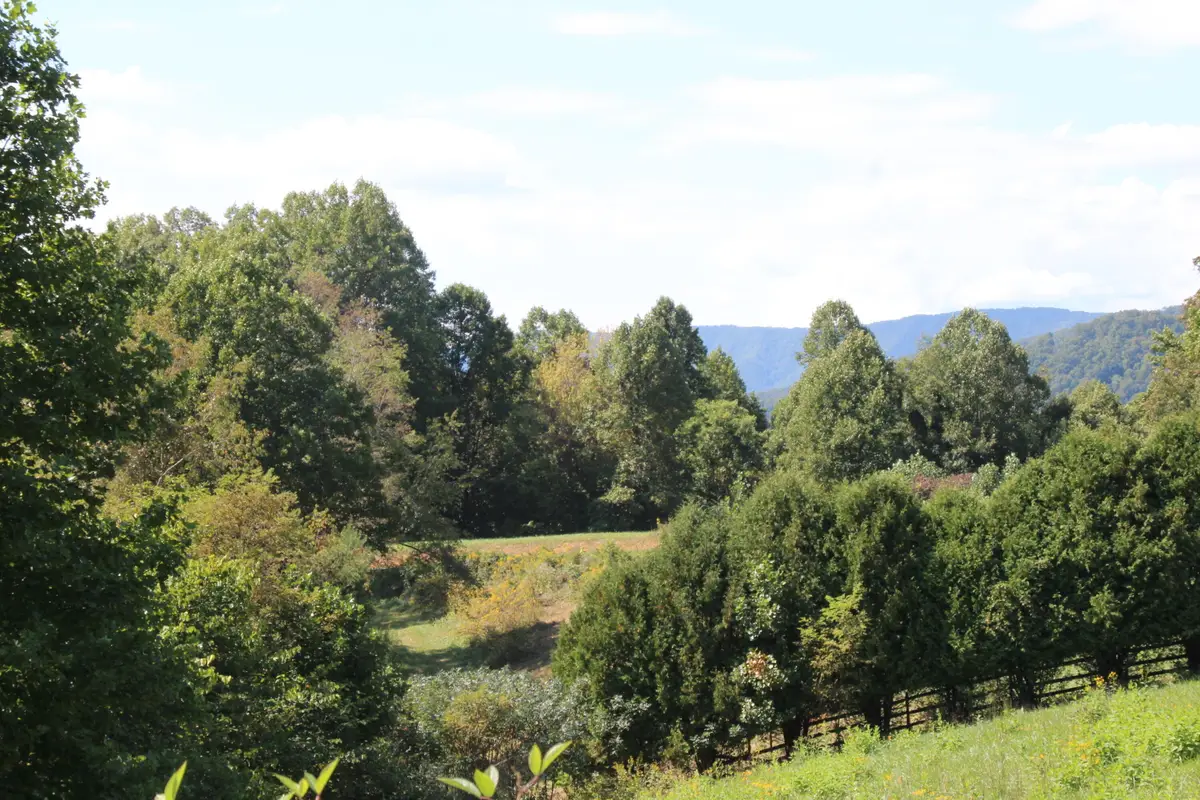 Lot #49 Redbud Circle, Butler, TN 37640 - #1