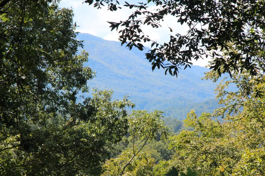 Lot #49 Redbud Circle, Butler, TN 37640 - #2