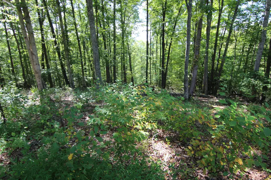 Lot #49 Redbud Circle, Butler, TN 37640 - #3