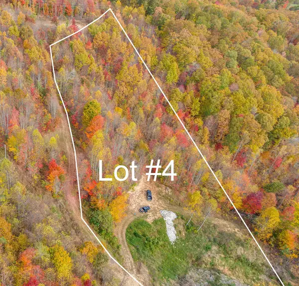 Tbd Parmont Lot 4 Drive, Duffield, VA 24244