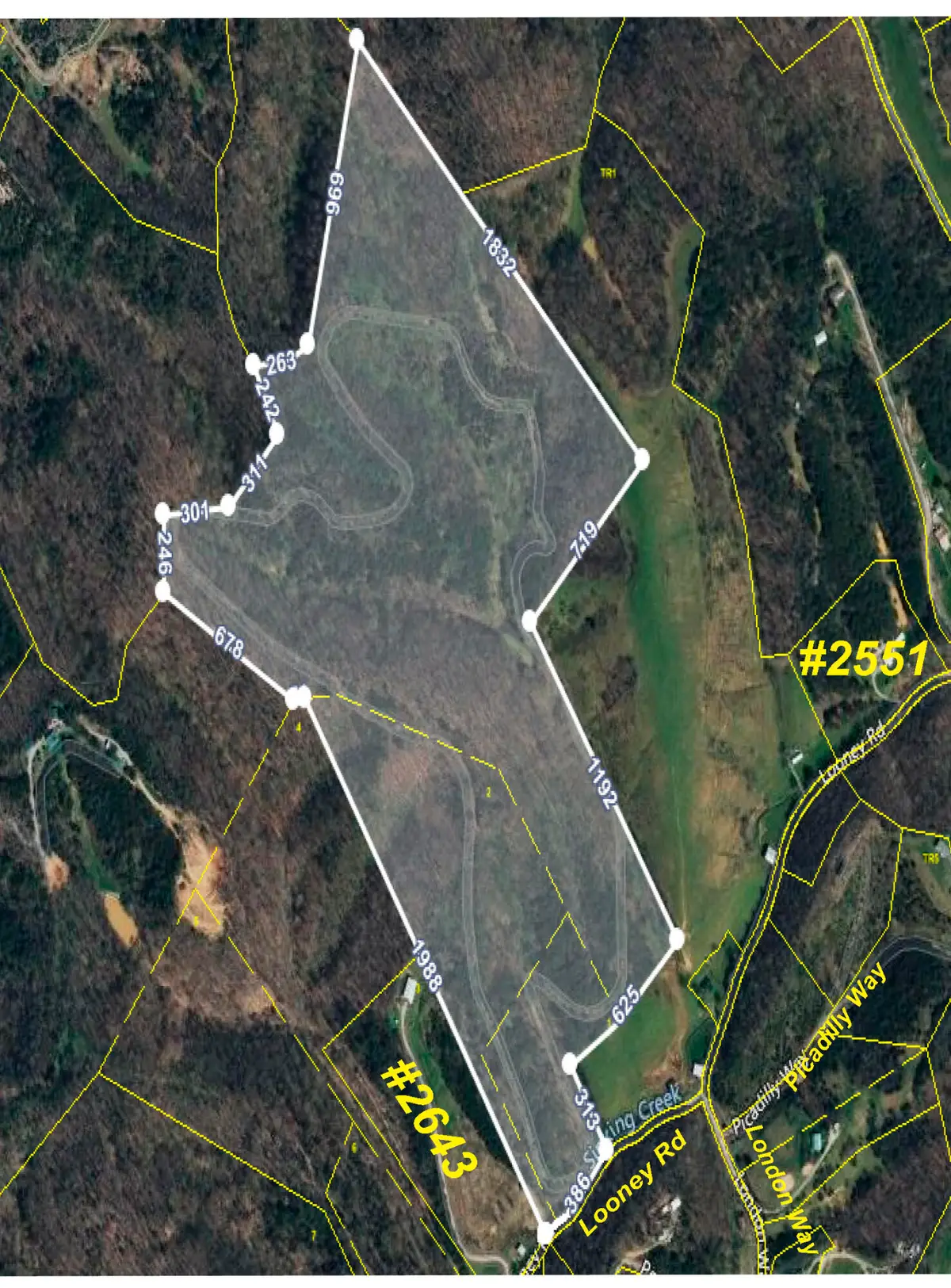 0000 Looney Rd Off, Parrottsville, TN 37843 - Image #1