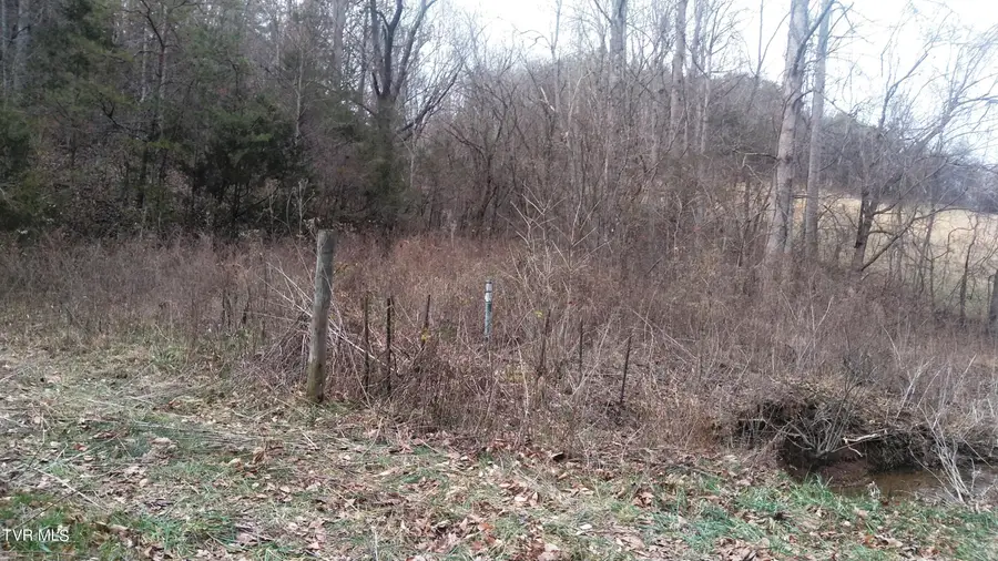 0000 Looney Rd Off, Parrottsville, TN 37843 - Image #3