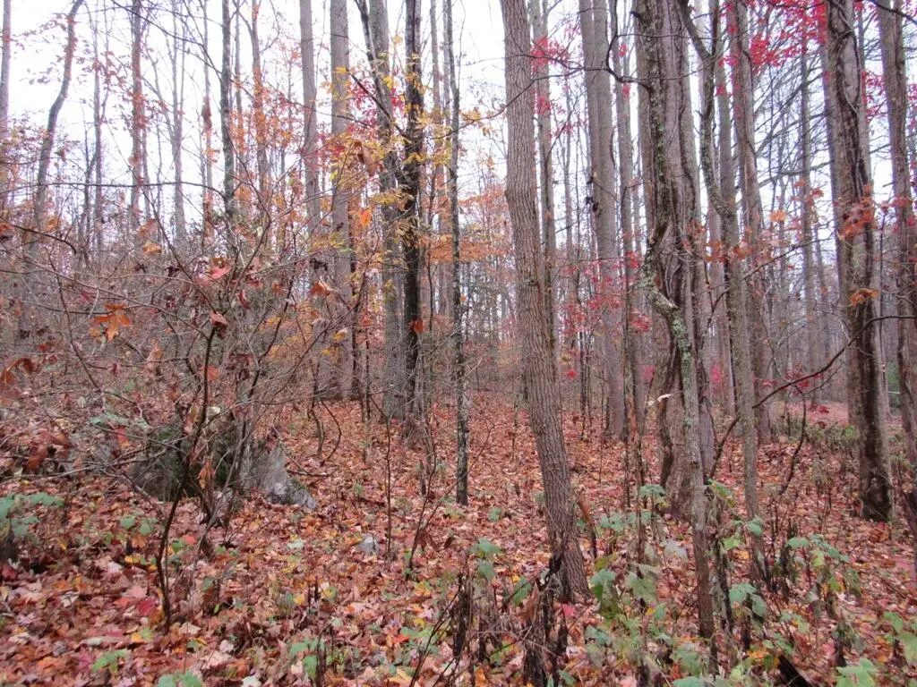 Lot 9 Kesner Lane, Abingdon, VA 24210 - #1
