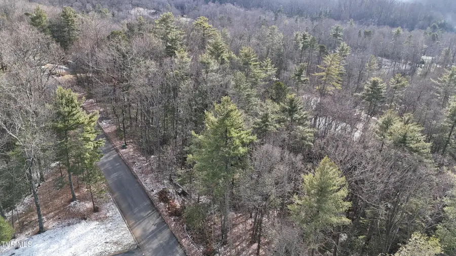 Tr 7 Mountain Laurel Court, Unicoi, TN 37692 - Image #2