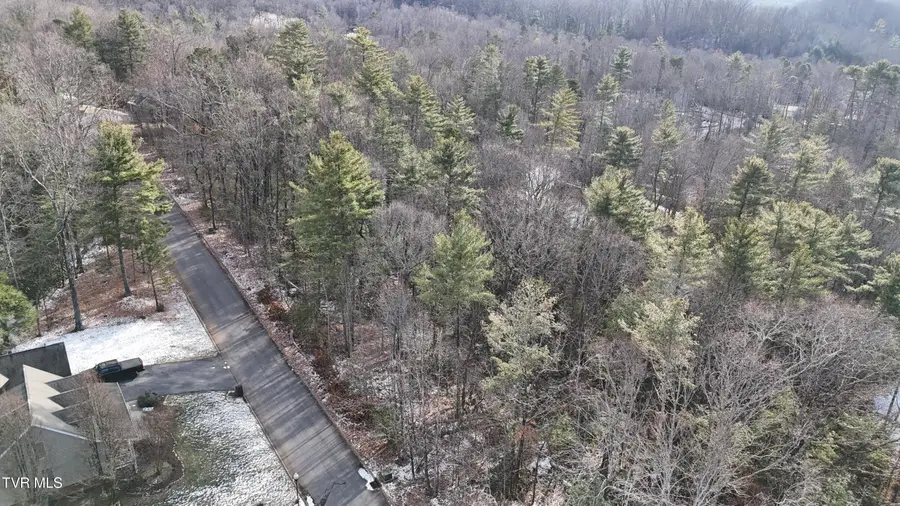 Tr 33 Mountain Laurel Court, Unicoi, TN 37692 - Image #3