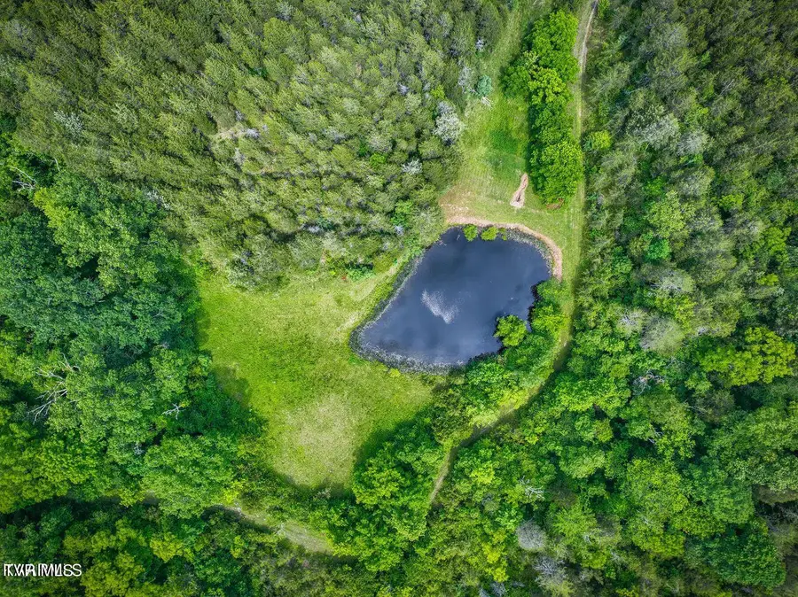 0 War Creek Road, Eidson, TN 37731 - Image #3