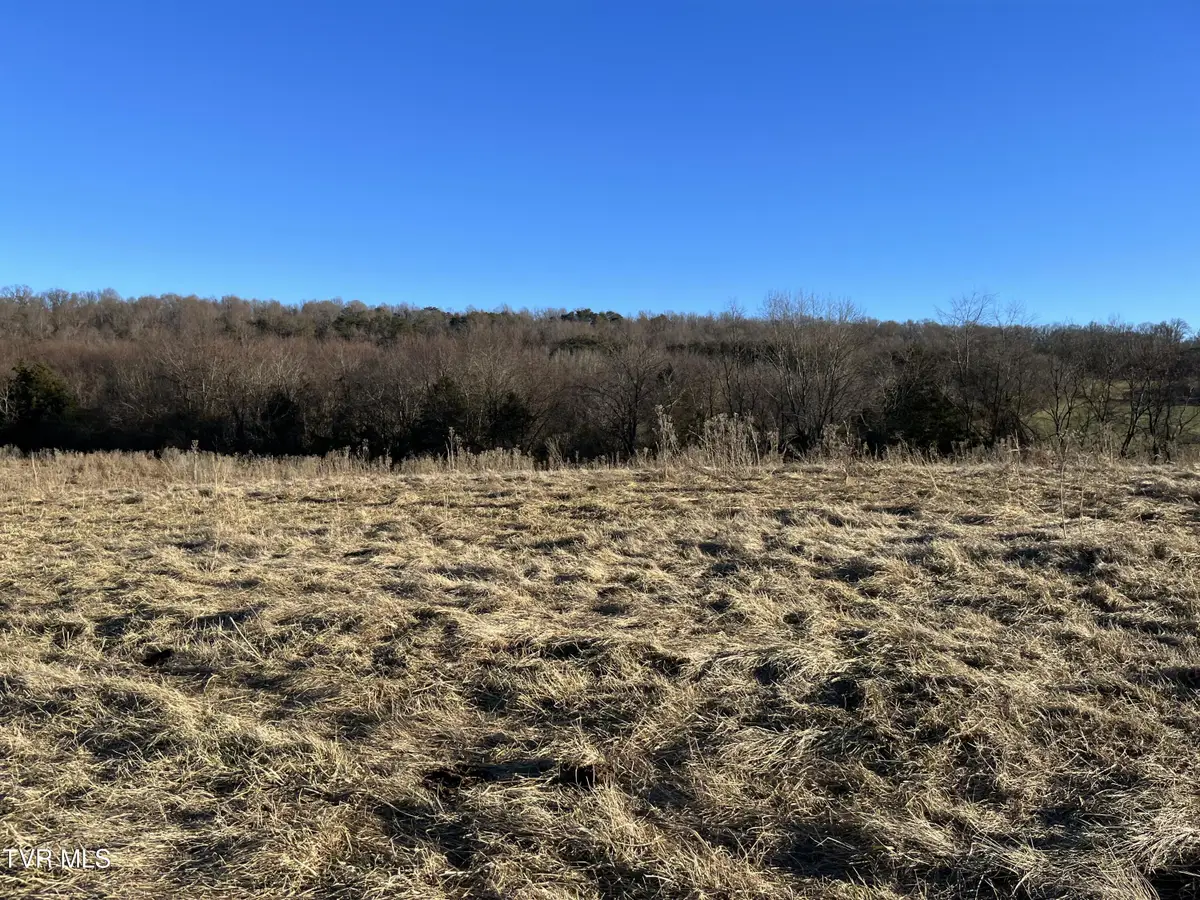 Tbd Lot 3 Old Asheville Highway, Greeneville, TN 37743 - Image #1
