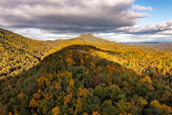 378 Ac Caney Creek Lane, Greeneville, TN 37745