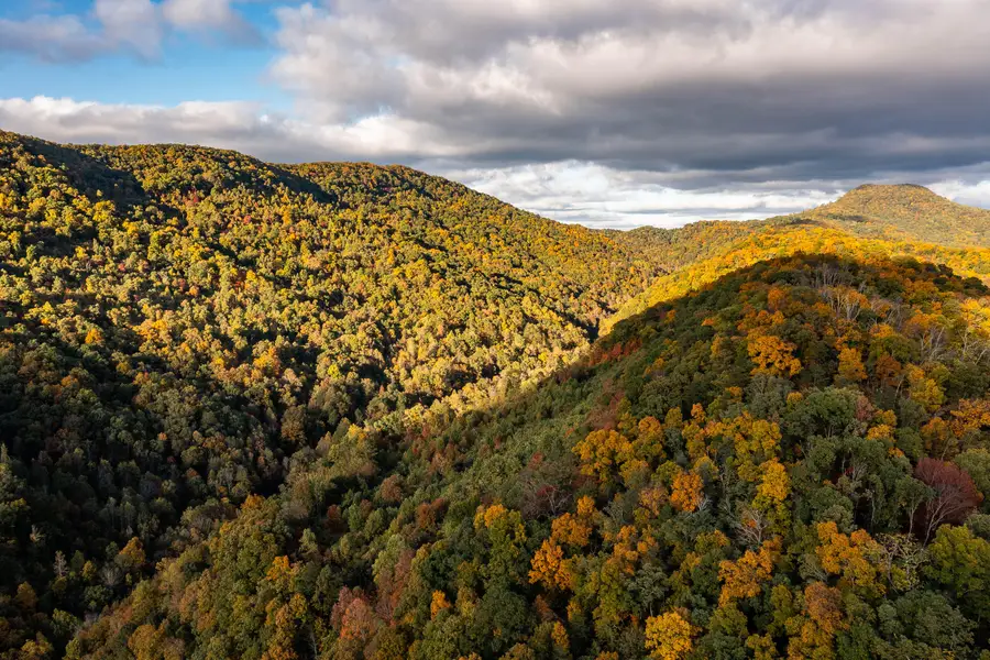 378 Ac Caney Creek Lane, Greeneville, TN 37745 - Image #2