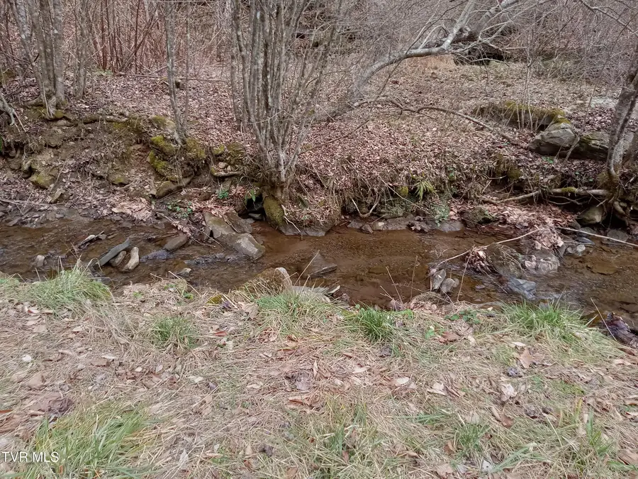 Tbd Old Wolf Road, Grundy, VA 24614 - Image #2