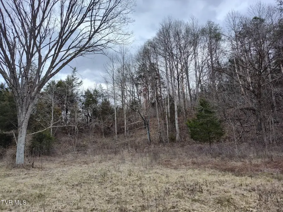 Tbd Hickory Cove Road, Surgoinsville, TN 37873 - Image #2