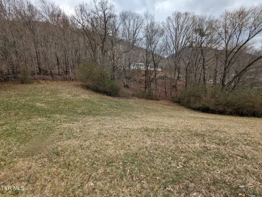 Tbd Dogwood Street, Weber City, VA 24290 - Image #2