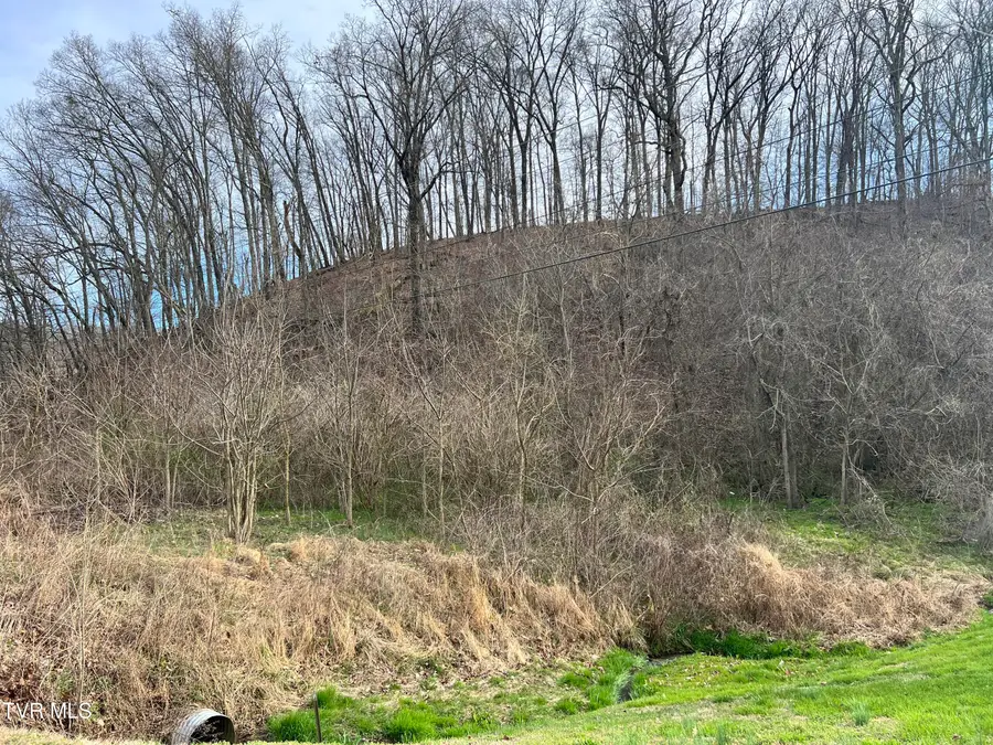 00 Old Knoxville Highway, Greeneville, TN 37743 - Image #2