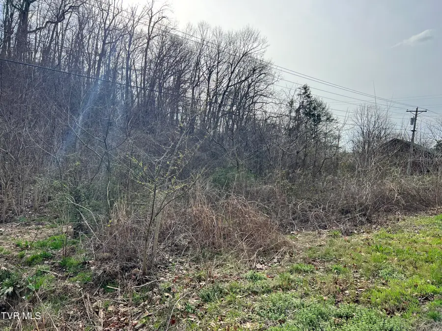 00 Old Knoxville Highway, Greeneville, TN 37743 - Image #3