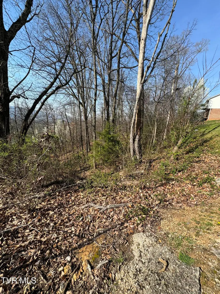 2137 Hiara Drive, Kingsport, TN 37660 - Image #2