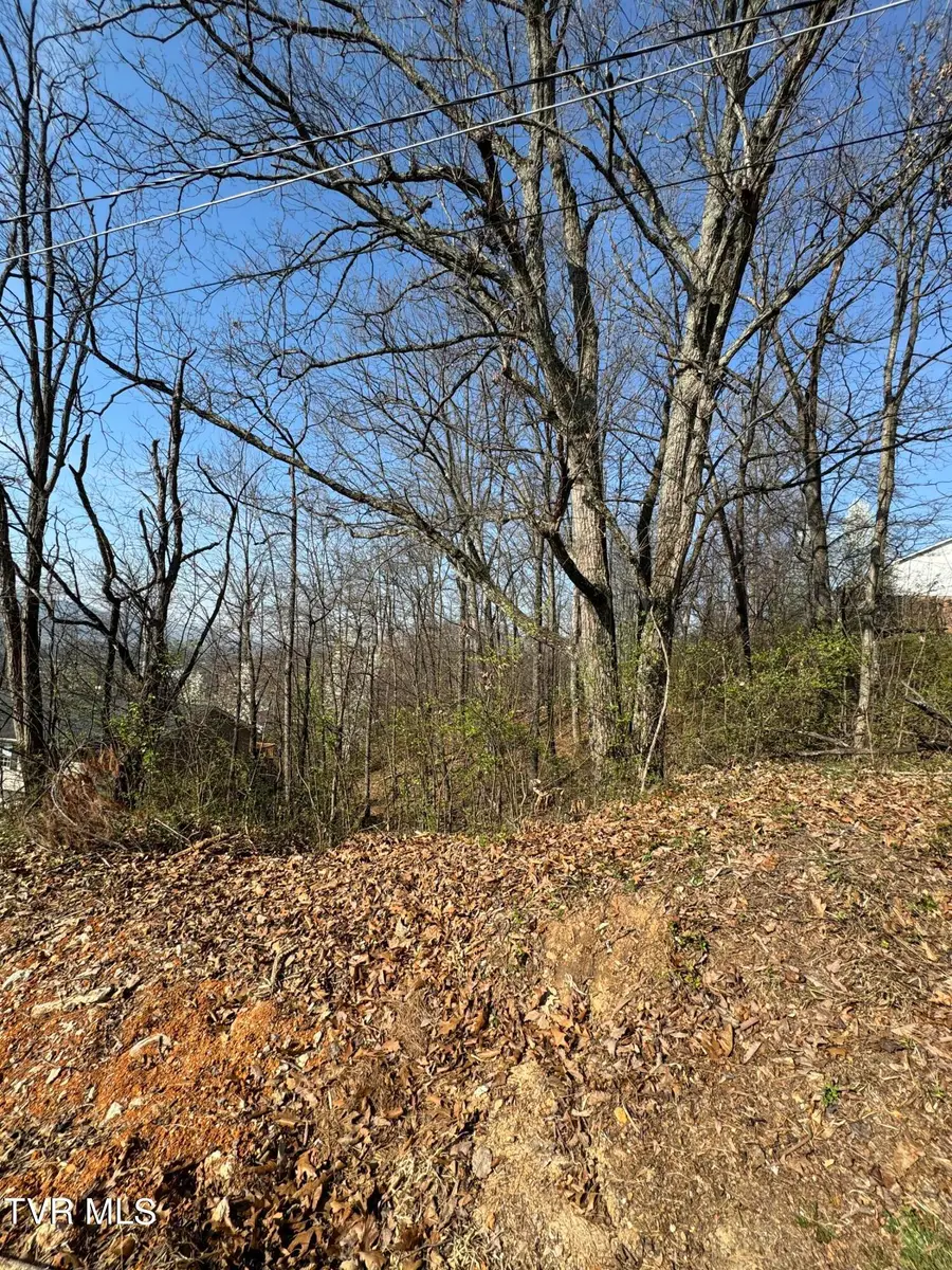 2137 Hiara Drive, Kingsport, TN 37660 - Image #3