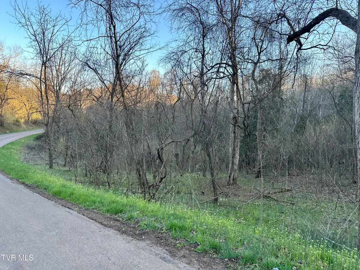 Tbd Cassells Chapel Road, Dungannon, VA 24245 - Image #1