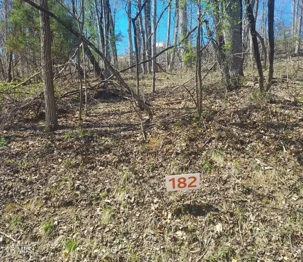 Lot 182 Ox Bow Ave., Unicoi, TN 37692
