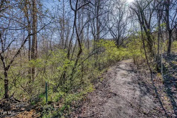 Tbd Cannon Hill Drive, Elizabethton, TN 37643