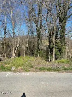 316 Blue Haven Drive, Kingsport, TN 37663 - Image #1