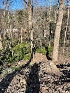 316 Blue Haven Drive, Kingsport, TN 37663 - Image #2