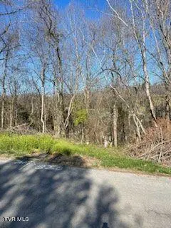 320 Blue Haven Drive, Kingsport, TN 37663 - Image #2