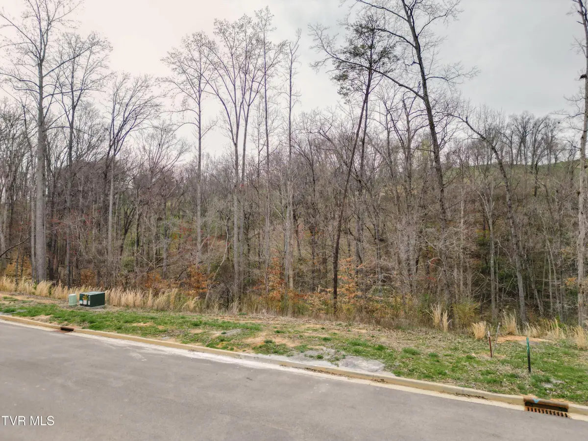 Lot 30 Bridgewater Boulevard, Morristown, TN 37814 - Image #1