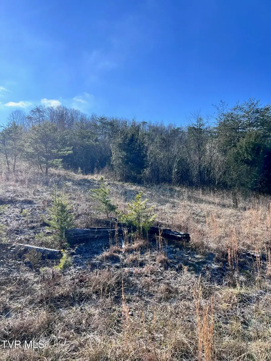 Tract 2 Bundren Mountain Road, Tazewell, TN 37879 - Image #3