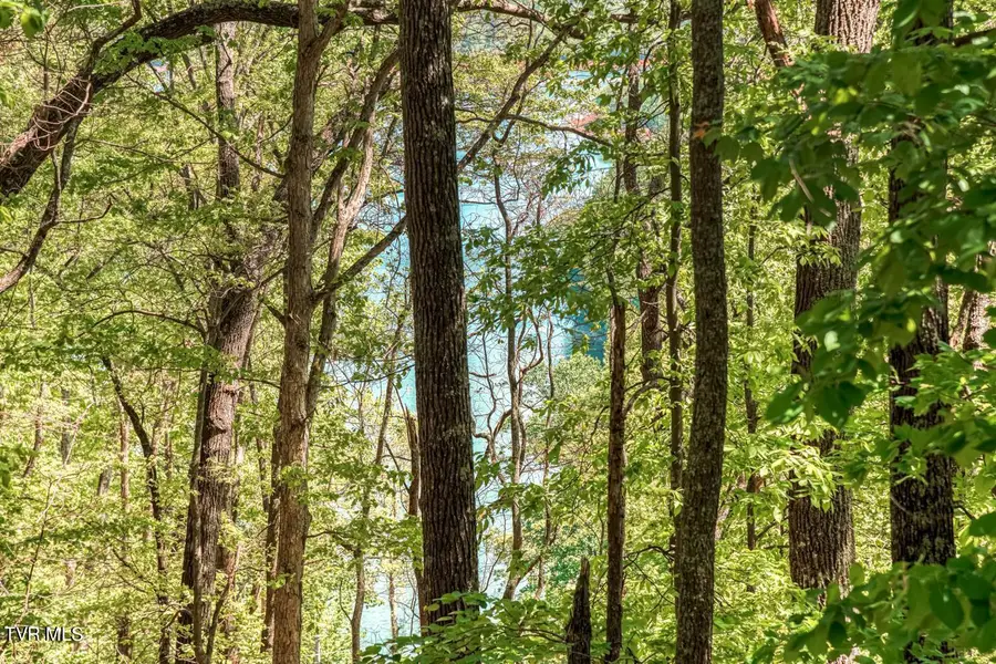 1184 Keetoowah Drive, Mooresburg, TN 37811 - Image #2