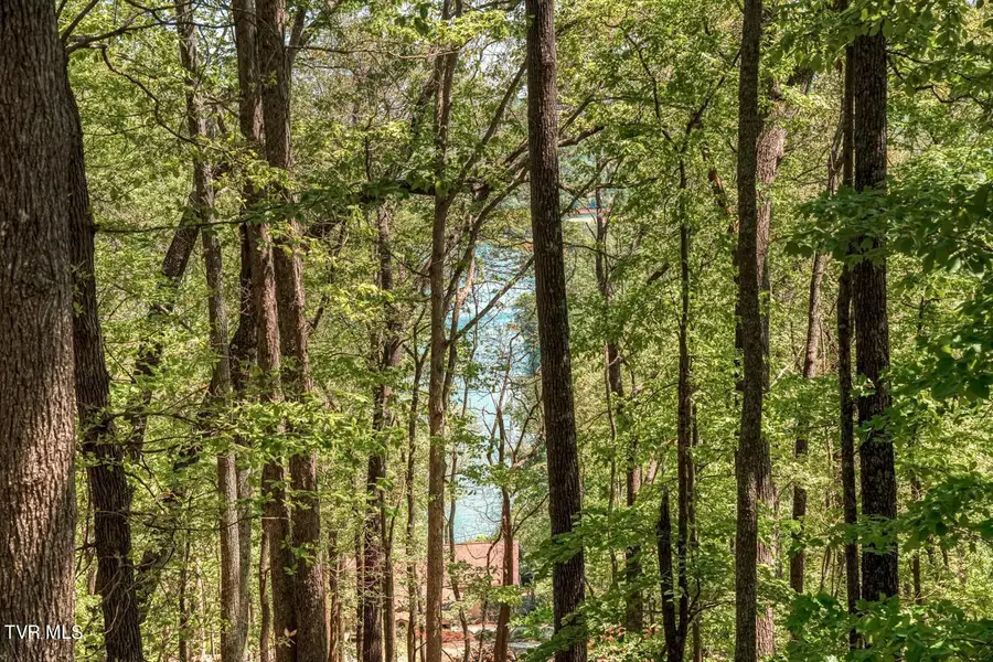 1184 Keetoowah Drive, Mooresburg, TN 37811 - Image #3