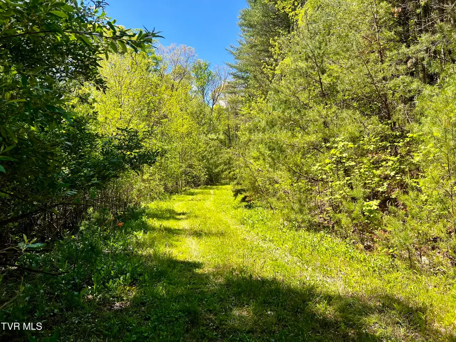 3379 Tbd Sink Valley Road, Butler, TN 37640 - Image #3