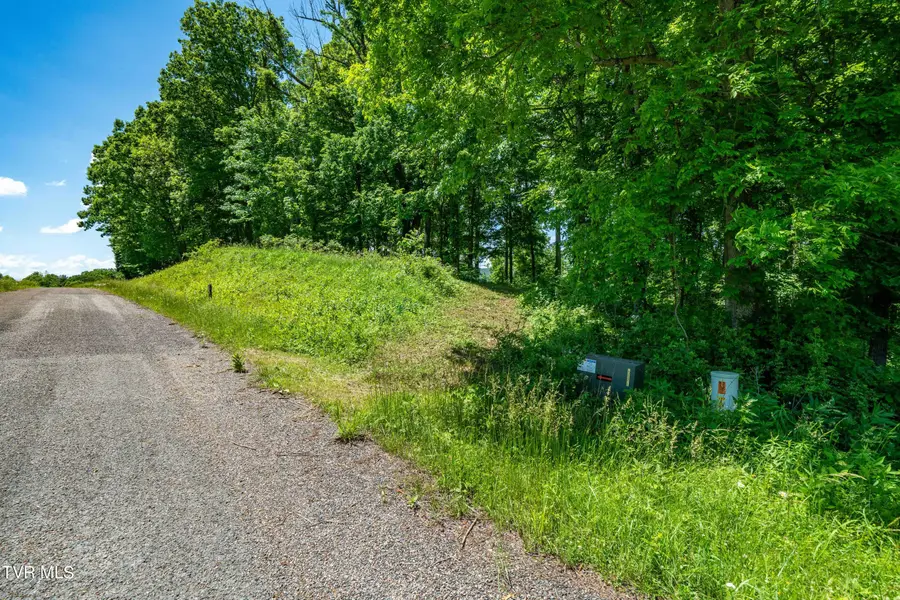 000 Lot #43 - Watauga Ridge Road, Butler, TN 37640 - Image #2