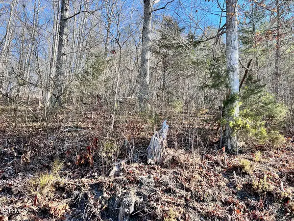 Tract 7 Bundren Mountain Road, Tazewell, TN 37879