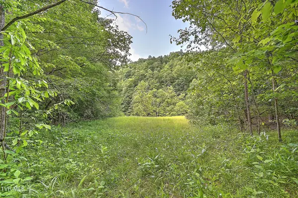 000 Goode Hollow Road, Duffield, VA 24244