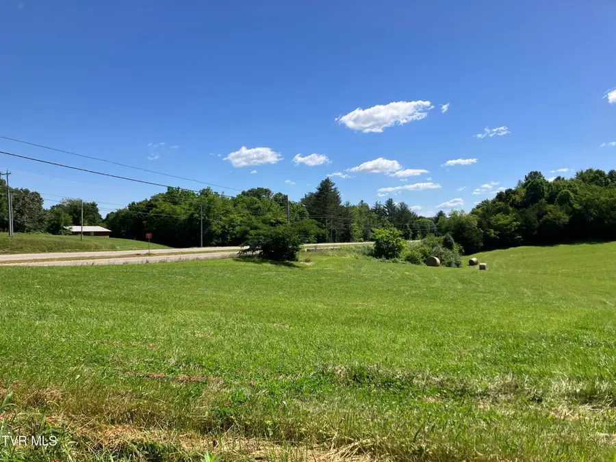 0 Highway 11e And Matthews Mill, Telford, TN 37690 - Image #2