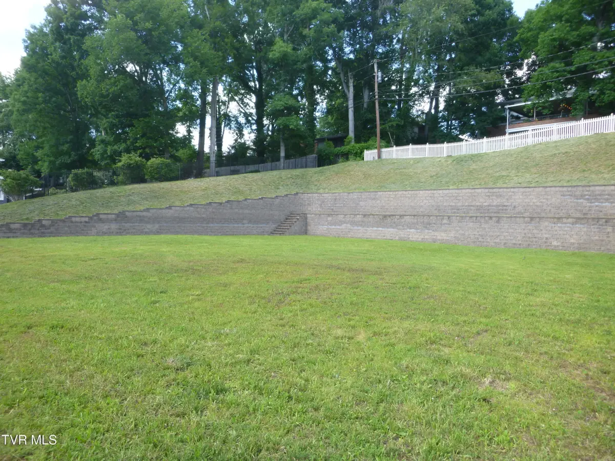 1220 Radcliffe Avenue, Kingsport, TN 37664 - #1