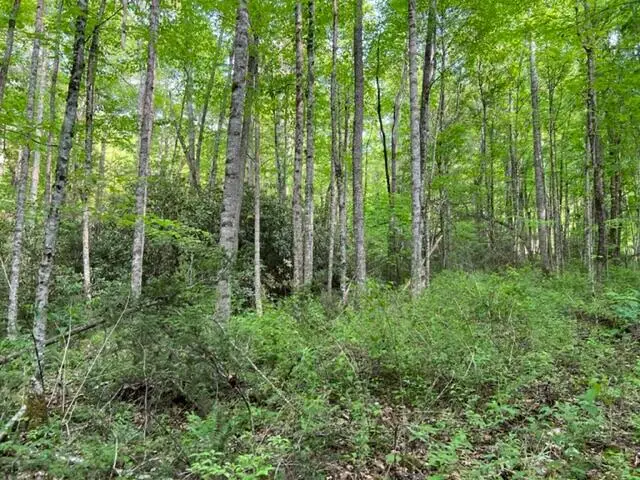 00 Sink Valley Road, Butler, TN 37640 - #2