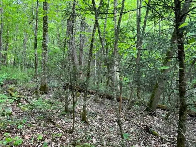 00 Sink Valley Road, Butler, TN 37640 - #3