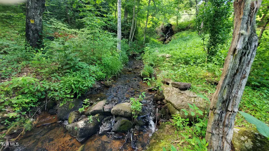 123 Tower Road, Roan Mountain, TN 37687 - Image #2