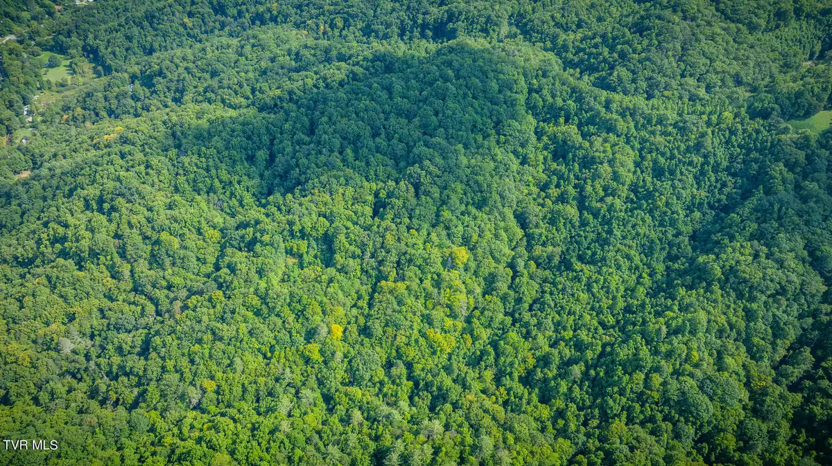 W Of Reece Hill Road, Hampton, TN 37658 - Image #1