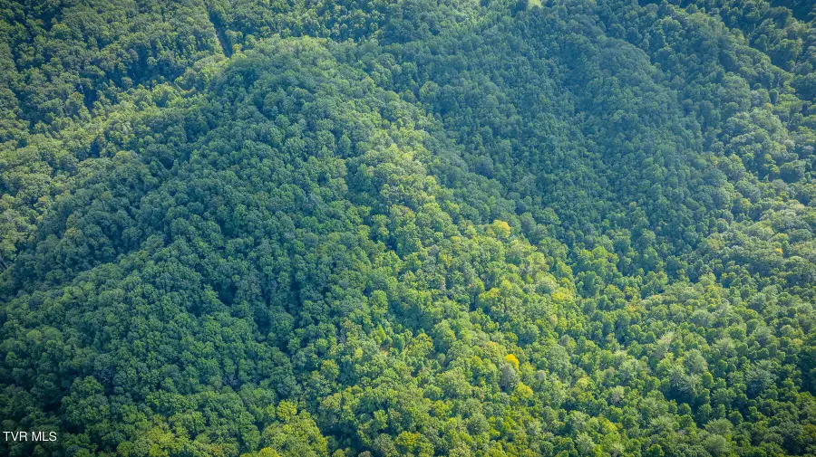 W Of Reece Hill Road, Hampton, TN 37658 - Image #2