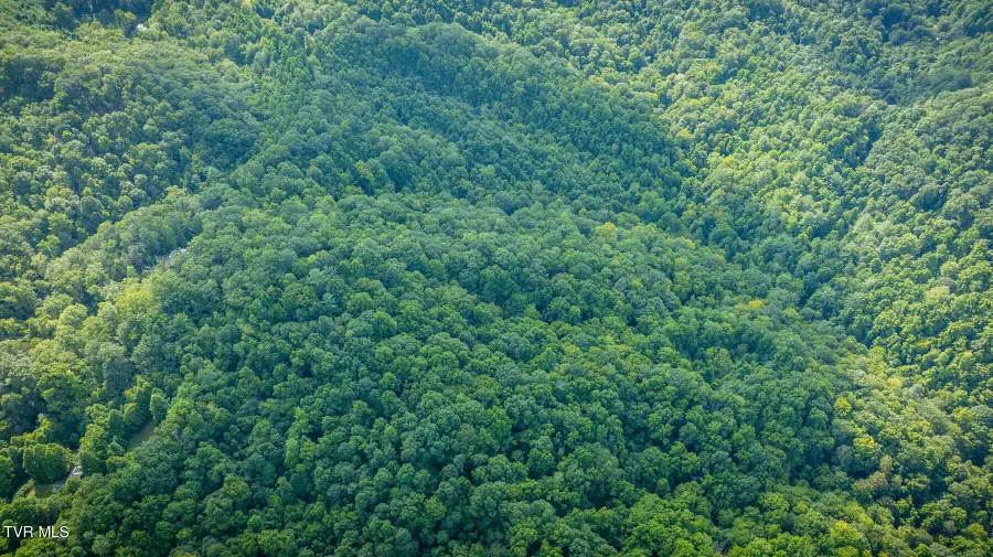 W Of Reece Hill Road, Hampton, TN 37658 - Image #3