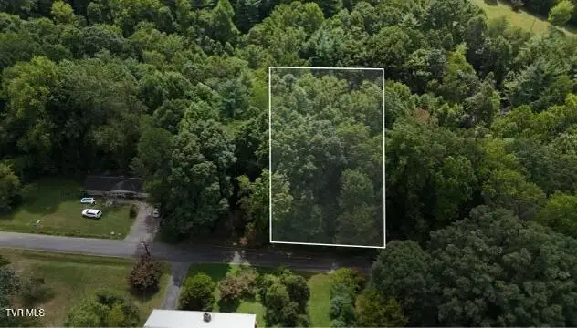 Tr 15 Pine Forest Lane, Unicoi, TN 37601 - Image #2