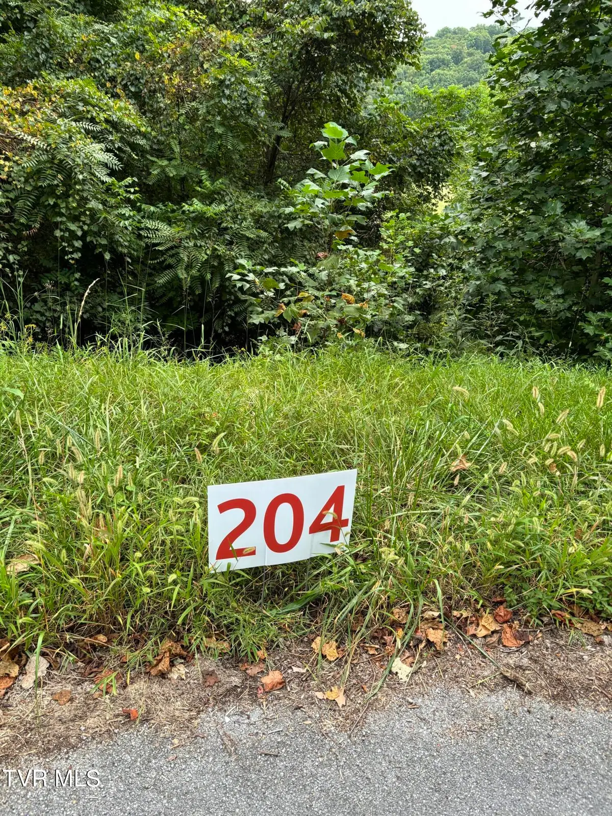 204 Ox Bow Ave, Unicoi, TN 37692 - Image #1