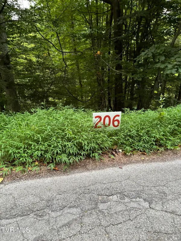 206 Ox Bow Ave, Unicoi, TN 37692